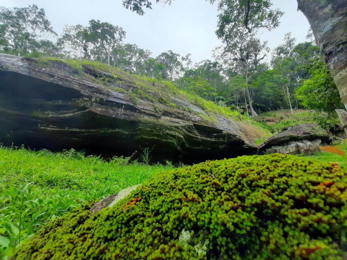 Chalé 1 Morada da pedra Praia Grande  Extérieur photo